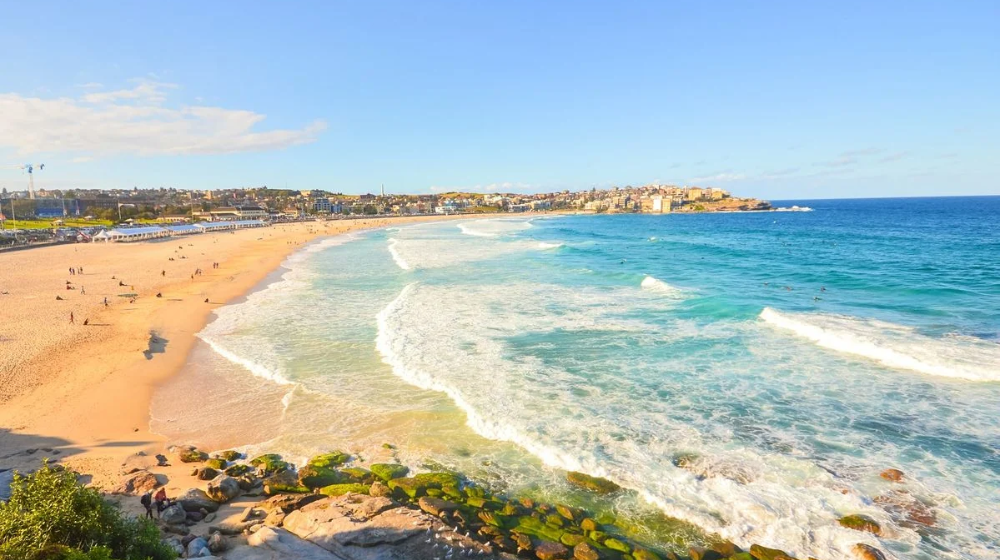 Bondi Beach